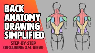 Back Anatomy Simplified! (Figure Drawing Structure Tutorial)