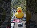 SHORT VIDEO COMEDY 🎭CHINESE🇨🇳#funny #love #vlog #trending #shortvideo #comedy #viral #automobile