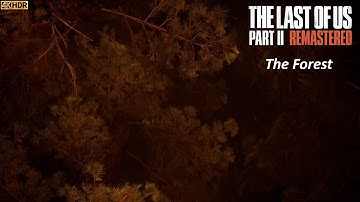 The Forest | The Last of Us Part II Remastered | PS5 4K HDR No Commentary