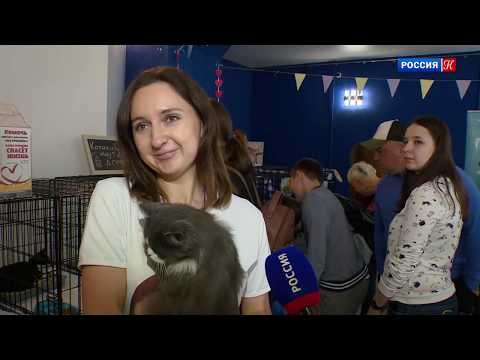 Новости культуры Пермь 20 ноября 2018