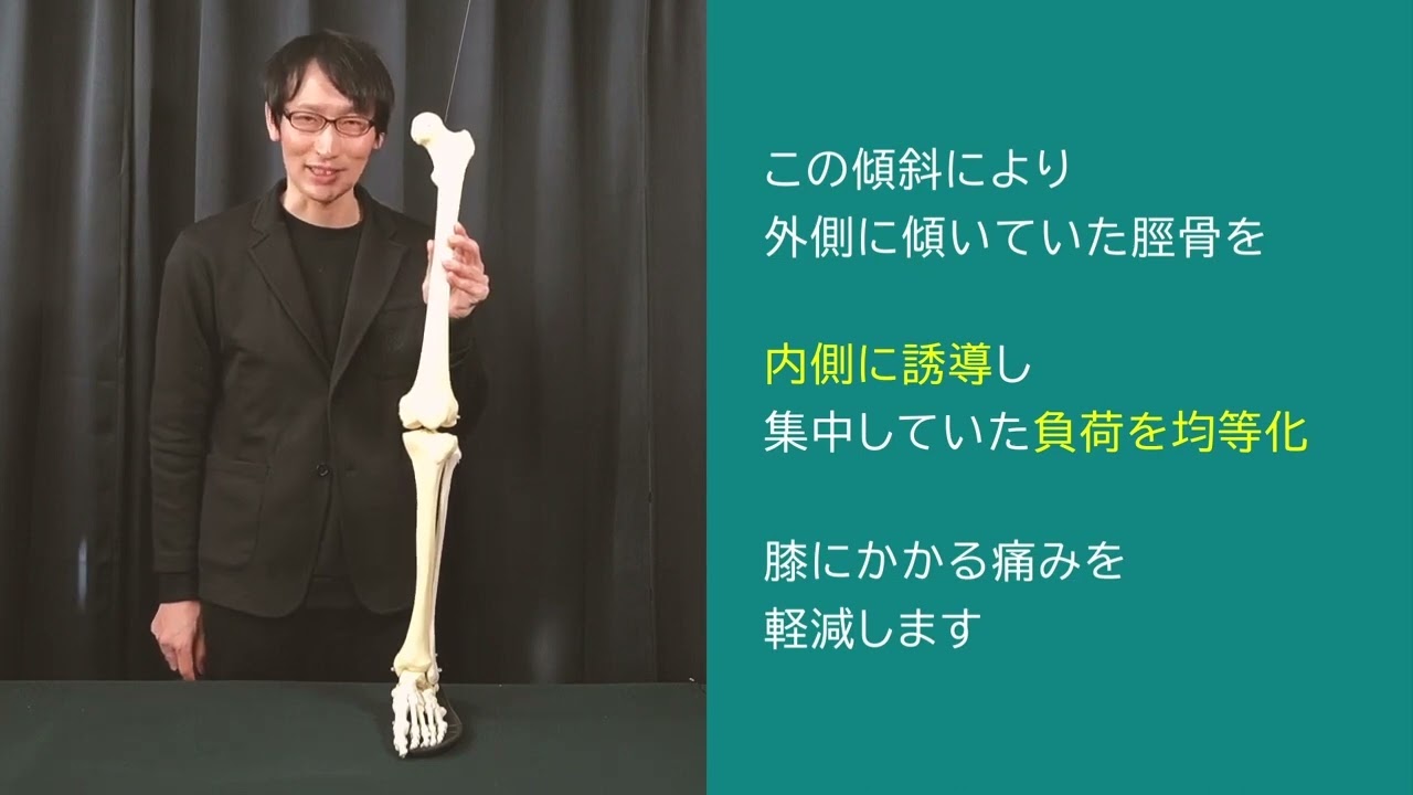 膝を気にせず歩ける「160膝楽シリーズ」 ｜ AKAISHI 公式通販
