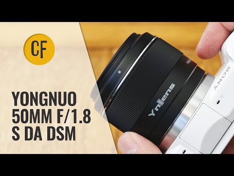 Yongnuo 50mm f/1.8 S DA DSM lens review - a budget option for Sony