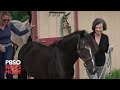 Author Geraldine Brooks delves into an untold story of a racehorse and his caretaker (7 min)
