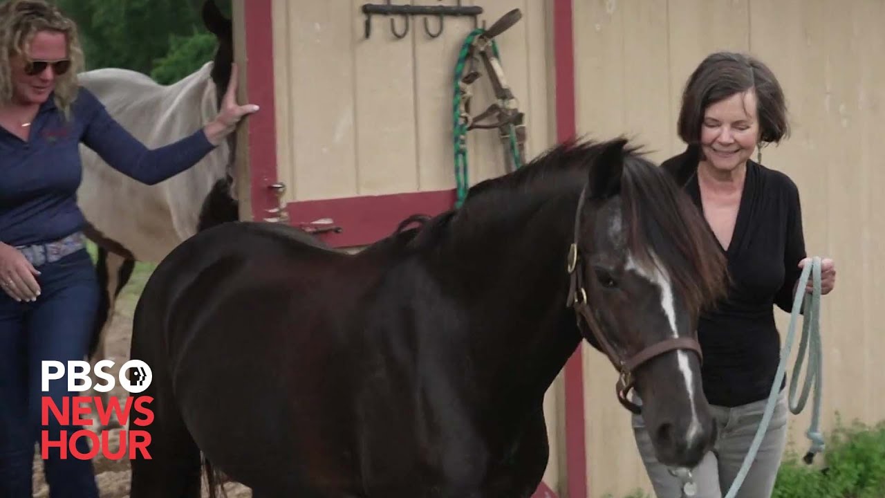 Author Geraldine Brooks delves into an untold story of a racehorse and his caretaker