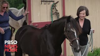 Author Geraldine Brooks delves into an untold story of a racehorse and his caretaker