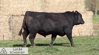 Lot 84 ECM24V331 Bannaby 2026