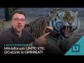 Minisforum UM780 XTX: OCuLink is GRRREAT!