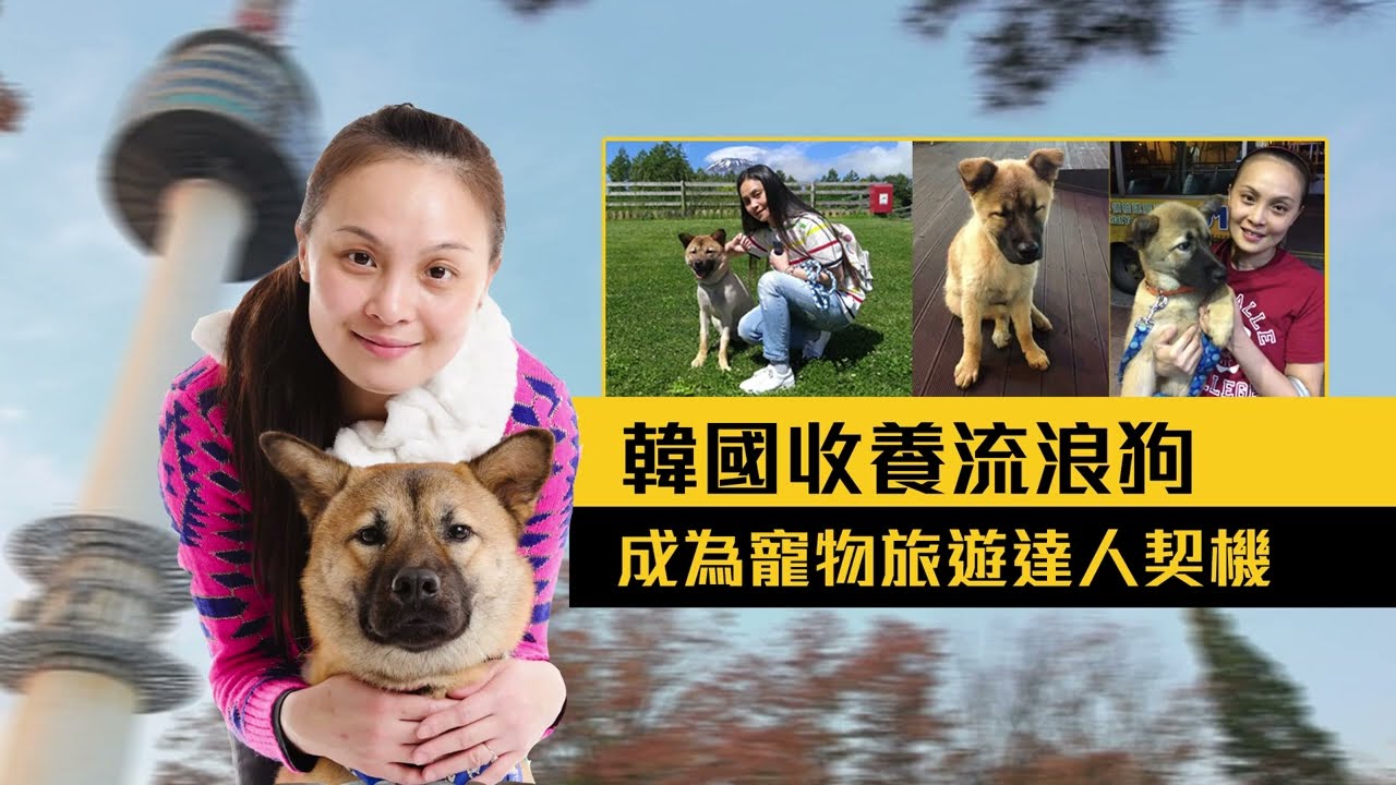 【Pet Holidays】寵物旅遊達人 Fanny 點解入行呢?