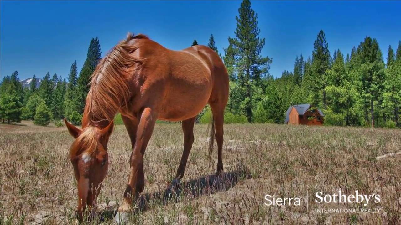 5 bedroom Farm For Sale in Graeagle, California for USD 1,695,000