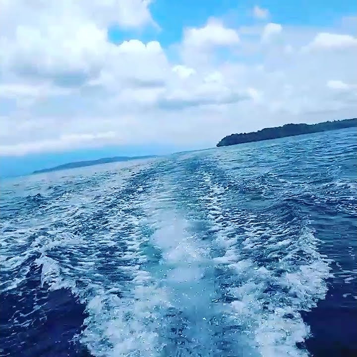 memandang laut