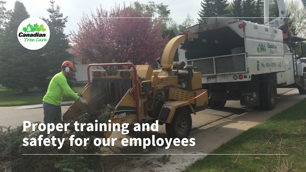 Canadian Tree Care Professional Tree Care and Property Care Services