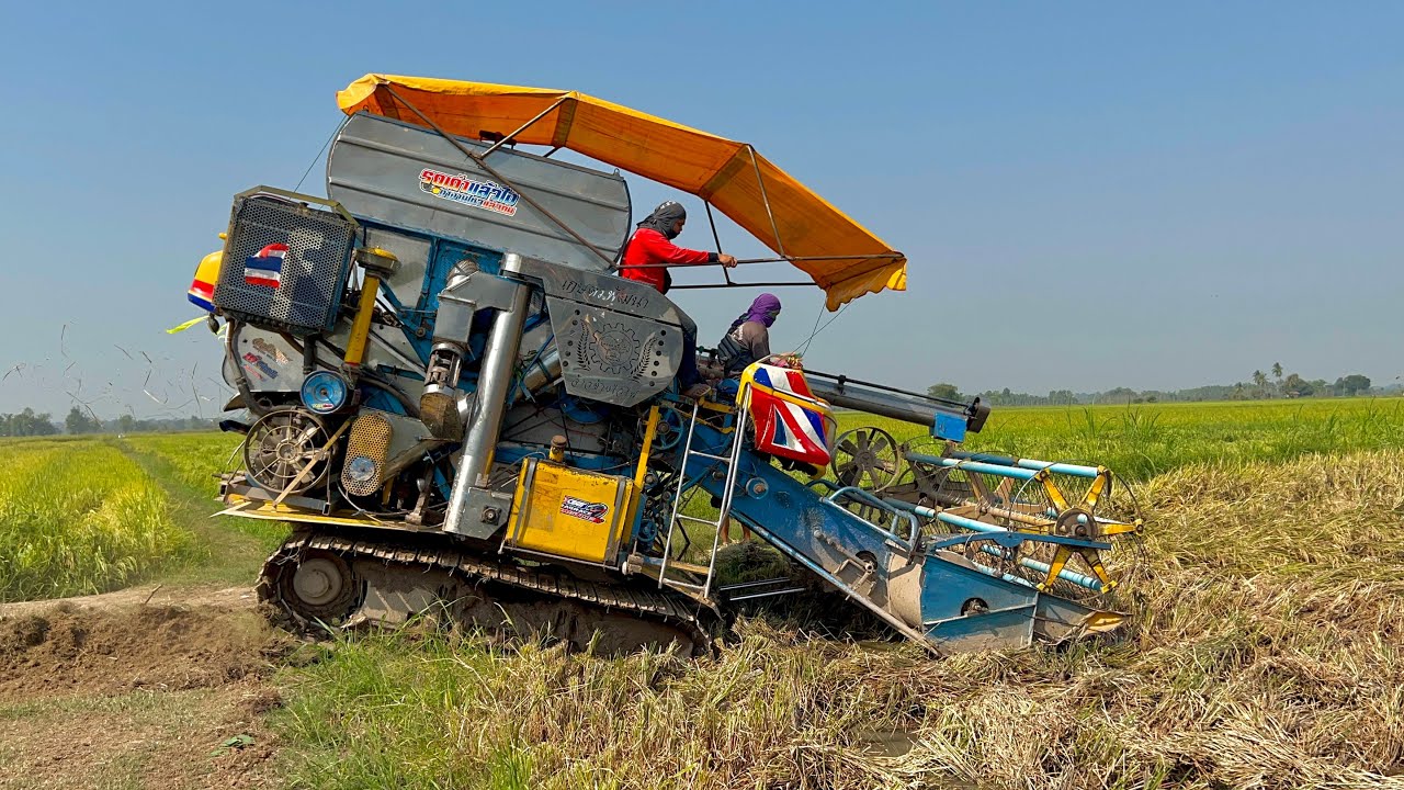 จ้าวช้างไวไฟ&พรกินรีการช่างลุยเกี่ยวข้าวนาหล่มดินเหนียวจัดจะคุ้มค่าน้ำมันไหม