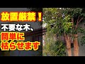 【木の枯らせ方】切っても伸びてくる木、完全に枯らせます