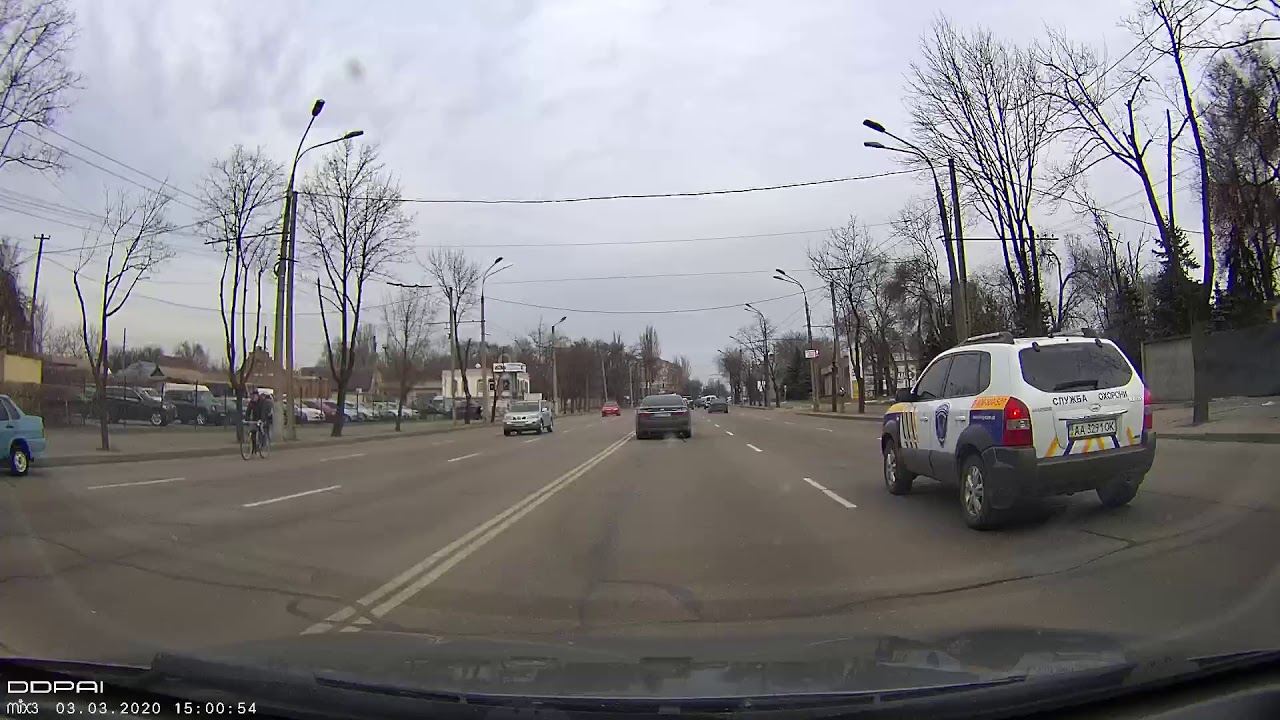 Сука сосет в машине