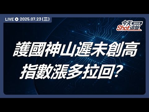 護國神山遲未創高 指數漲多拉回?|2025.07.23 台股盤前解析|今天 Shot 這盤|豐雲學堂直播
