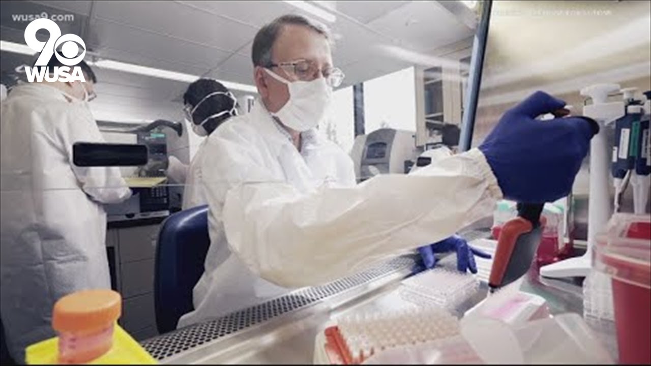 Could a covid pill by Pfizer stop you from getting sick?