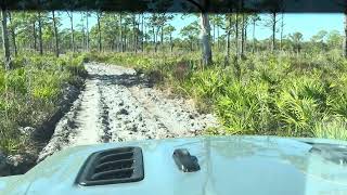 Cleaning Palmetto Trail - Rubicon transportation 