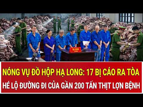0310 vp3 analysis 5 1