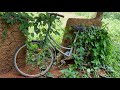 Old and Rusted Bicycle Restoration | Japan Women Cycle Restoration