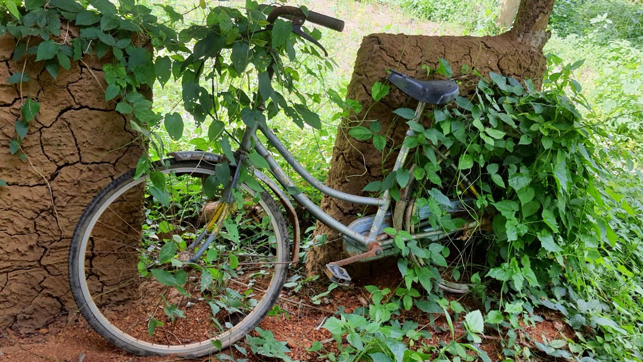 Old and Rusted Bicycle Restoration  Japan Women Cycle Restoration