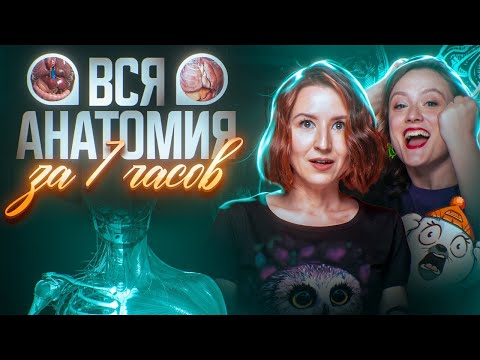 Вся анатомия за 6 часов | ЕГЭ-2024 по биологии