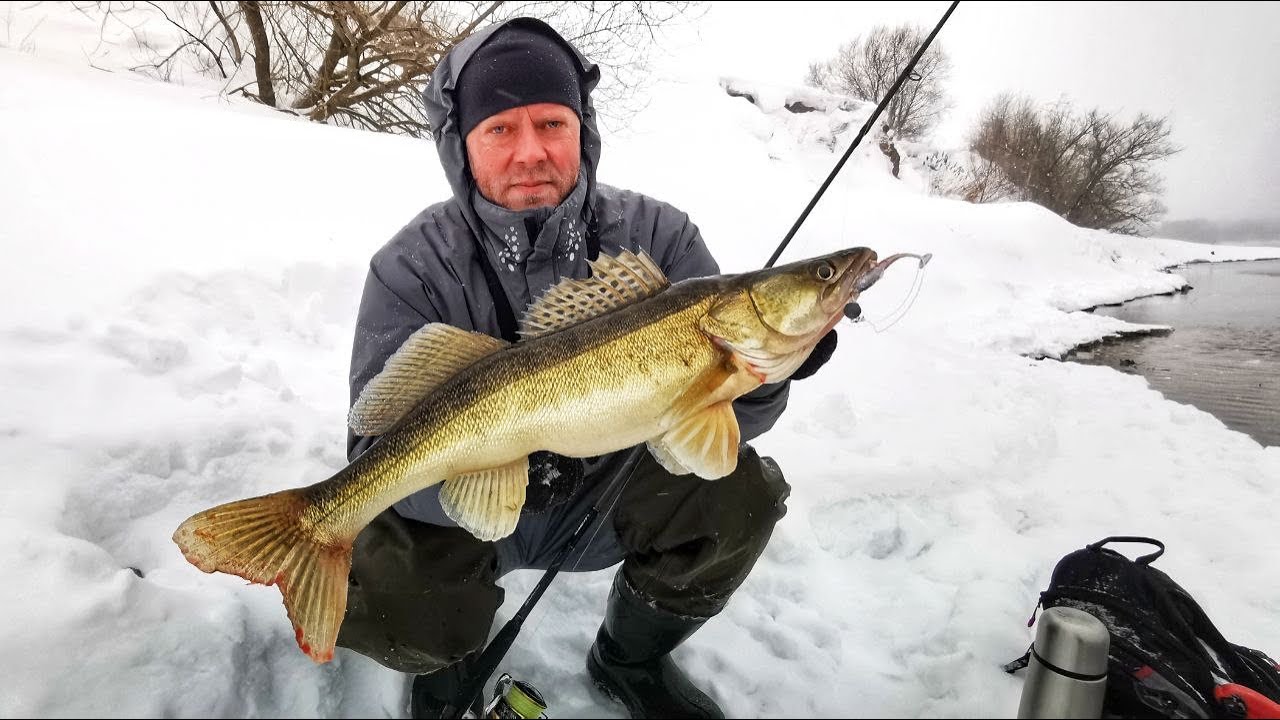 Одна ПРИМАНКА сделала РЫБАЛКУ! ЧУЛКОВО, Москва-река, ДЖИГ! Зимний спиннинг! Рыбалка, ловля СУДАКА!