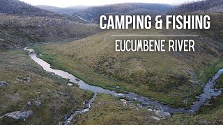 Camping & Fishing on the Incredible Eucumbene River | NSW Snowy Mountains