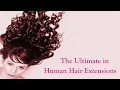Flawless hair weaves by Yazmin Warren - Recommended Stylist