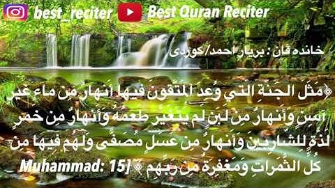 القارئ بريار احمد الكوردي سورة (محمد)