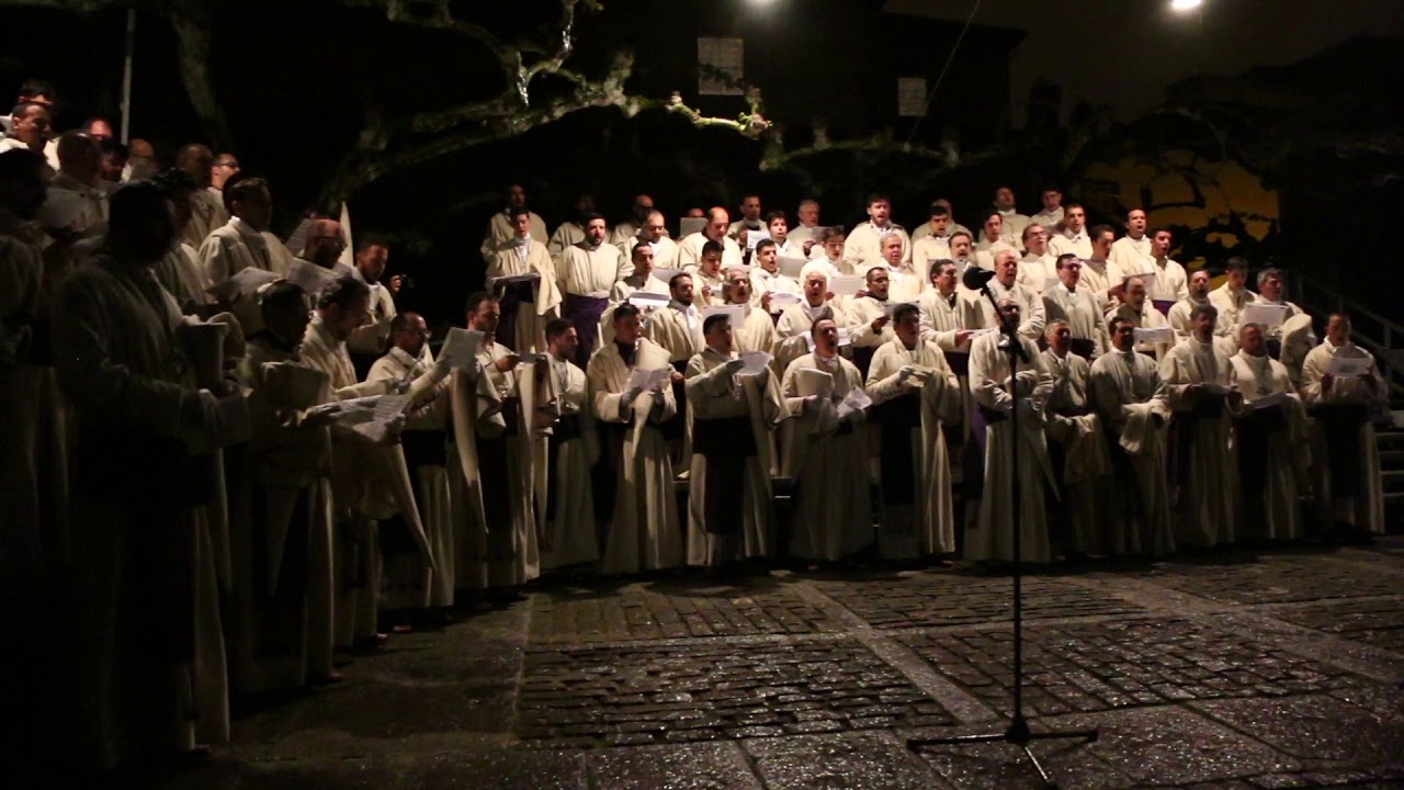 Miserere Zamora 2019