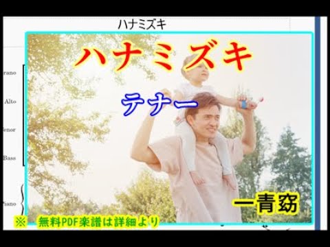 ハナミズキ （テナー）