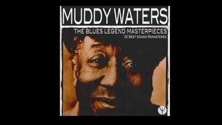 Vignette de la vidéo "Muddy Waters - Rollin' And Tumblin'"