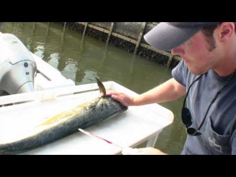 Convert Your Cooler into a Fishing Cart or a Rod Holding Cooler