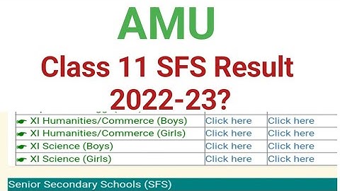 Amu Class 11 Self Finance Result 2022 | Amu Sfs Result 2022-23 | Self finance result Update Amu