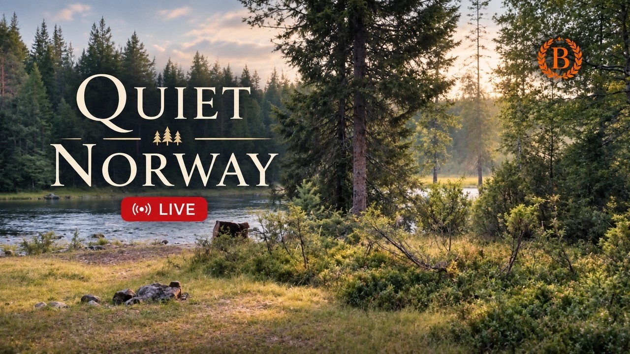 🔴 LIVE: Quiet Norway Nature Walk 🌲 | Real Forest Sounds + Relaxing Ambient Music