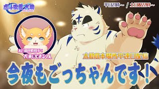 今夜もごっちゃんです！太助の本場所中連日配信【三月場所八日目】