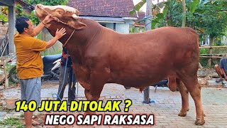 Download Lagu SAPI RAKSASA HOREG TOLAK 140 JUTA DARI BOS MADURA❗️Memang Berapa Bobotnya ⁉️🔥 MP3 Download Lagu SAPI RAKSASA HOREG TOLAK 140 JUTA DARI BOS MADURA❗️Memang Berapa Bobotnya ⁉️🔥 MP3