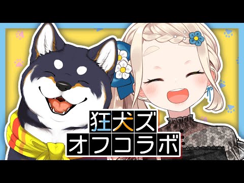 【オフコラボ雑談】 #にじさんじ狂犬ズ でオフコラボ！？実は会うのは2年ぶり？！？！【にじさんじ/町田ちま/黒井しば】