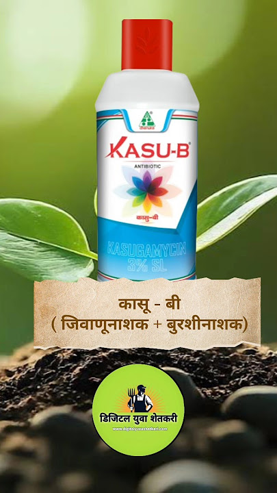 kasu b  fungicide uses in marathi | Bactericide  Fungicide 🔝🌱🔥 #fungicides
