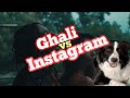 La logica di: Ghali vs Instagram