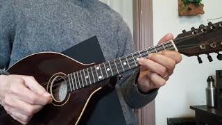 Telemann Vite (from TWV 33:16) - John Goodin, mandolin