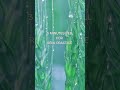3 MINUTES BELL FOR REIKI PRACTICE