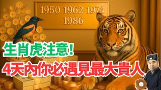屬虎人要睡不著了！不出4天，你將遇見你最大的貴人！現在不看就晚了！ #2025年生肖虎運勢 #2025年生肖虎運程 #2025年屬虎運勢 #2025年屬虎運程