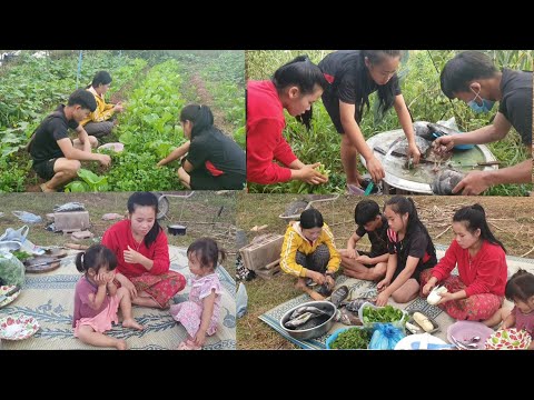 Video: Ntau Npaum Li Cas Cabbage, Carrots Thiab Ntsev Yog Xav Tau Rau Pickling Nyob Rau Hauv Ib 3 Liter Hub