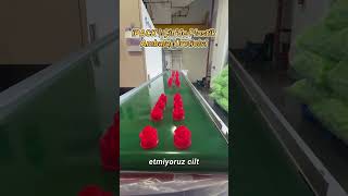 China Plastic Packaging Supplier