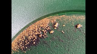 Klesh Gold Strike Paydirt  Half Gram Guaranteed