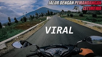 Jalan Terindah Perkebunan Teh Tambi JALAN TEMANGGUNG-DIENG WONOSOBO PESONA INDONESIA YANG MEMPESONA