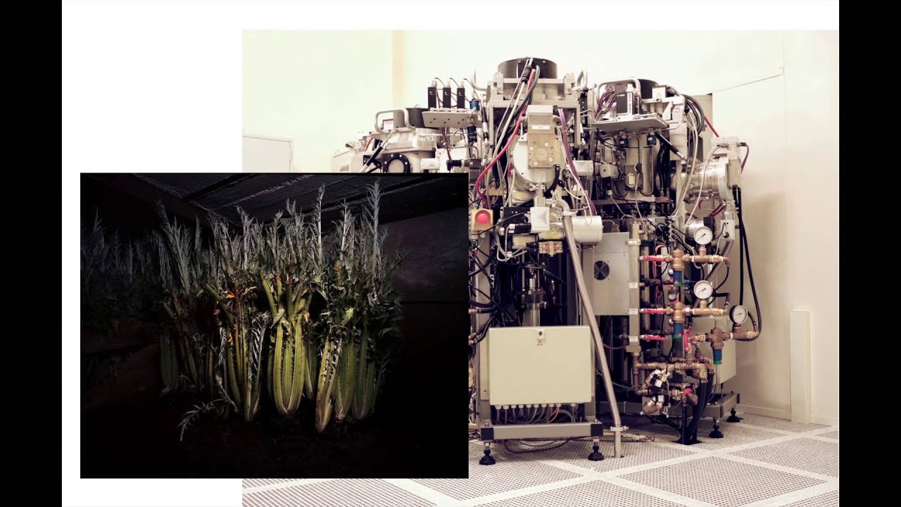 Foam Talent Call 2013 - Olga Cafiero