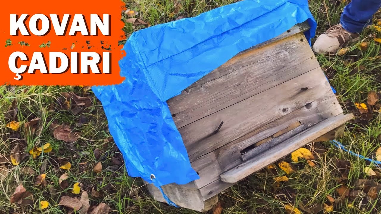 Kovan Çadırı Hakkında:Faydalar-zararlar