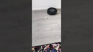 Roomba Combo j7: Avoiding obstacles